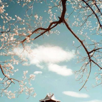 绿地波洛克公馆